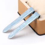 Cartier Santos 100 watch band lug size