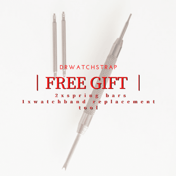 Free gift from Drwatchstrap: 2 spring bars 1 watchband replacement tool