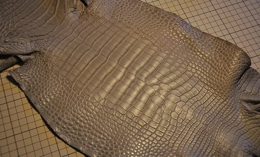 Matt Belly Scale American Alligator