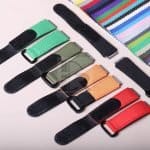 red yellow alligator.jpg (1)