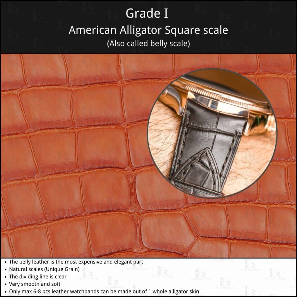 Different types of alligators: Grade I American Alligator belly scale square grain skin