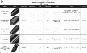 Real alligator vs fake alligator difference