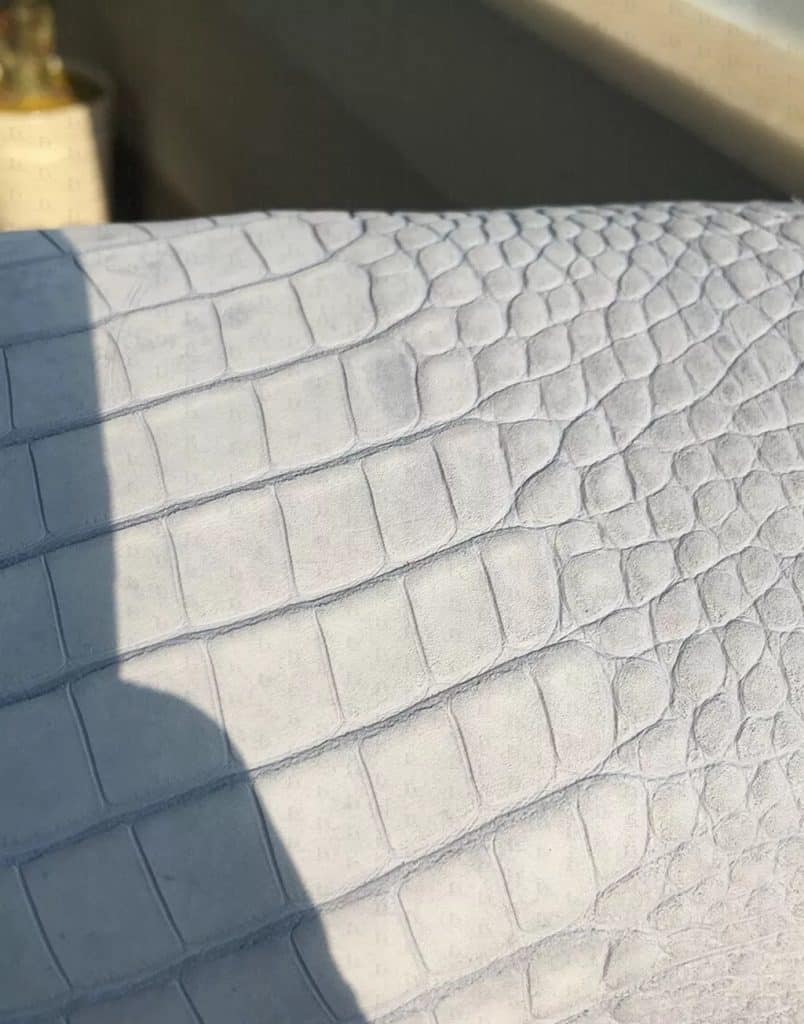 Alligator-leather-vs-crocodile-difference