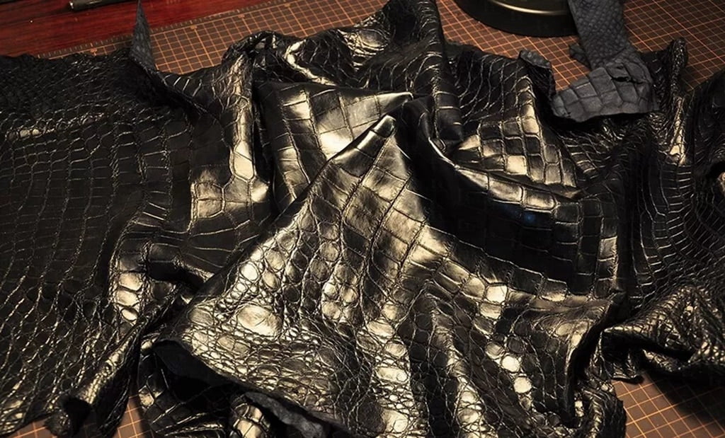 Alligator-leather-vs-crocodile-difference