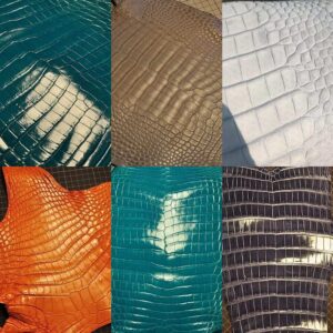 What's the difference between an alligator and a crocodile leather material