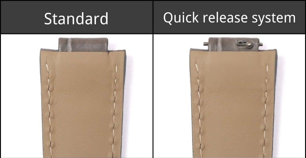 Standard vs Quick Release Spring bar